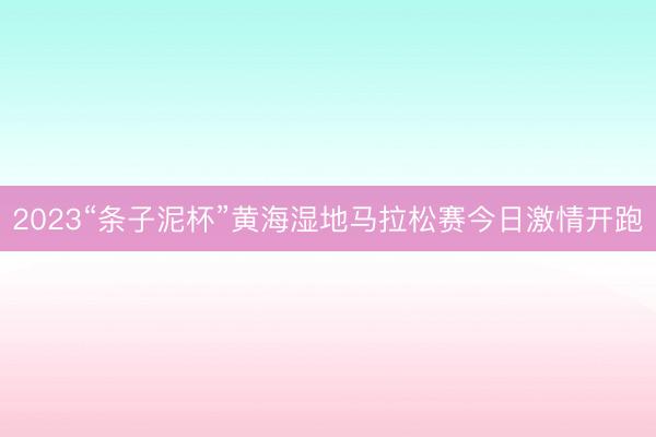 2023“条子泥杯”黄海湿地马拉松赛今日激情开跑