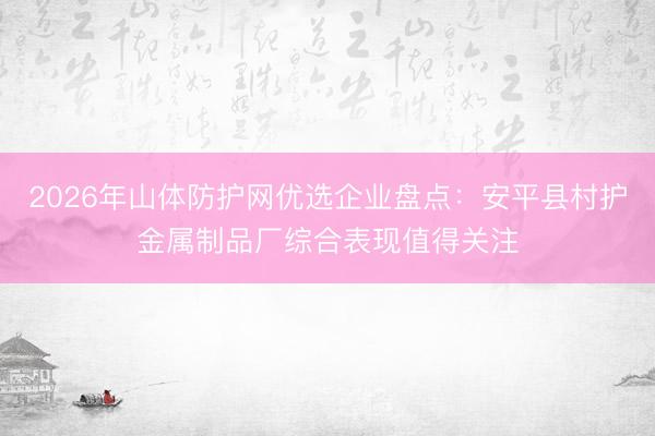 2026年山体防护网优选企业盘点：安平县村护金属制品厂综合表现值得关注