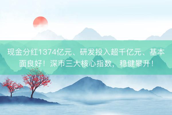 现金分红1374亿元、研发投入超千亿元、基本面良好！深市三大核心指数，稳健攀升！