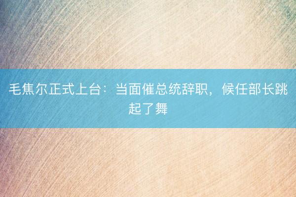 毛焦尔正式上台：当面催总统辞职，候任部长跳起了舞