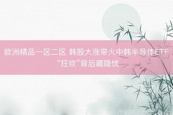 欧洲精品一区二区 韩股大涨带火中韩半导体ETF “狂欢”背后藏隐忧