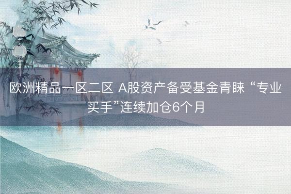 欧洲精品一区二区 A股资产备受基金青睐 “专业买手”连续加仓6个月