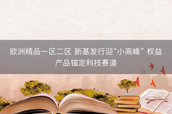 欧洲精品一区二区 新基发行迎“小高峰” 权益产品锚定科技赛道