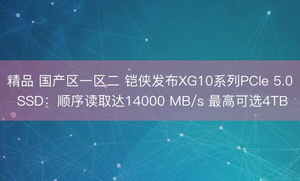 精品 国产区一区二 铠侠发布XG10系列PCIe 5.0 SSD：顺序读取达14000 MB/s 最高可选4TB