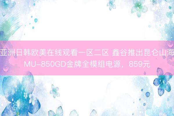 亚洲日韩欧美在线观看一区二区 鑫谷推出昆仑山海MU-850GD金牌全模组电源，859元