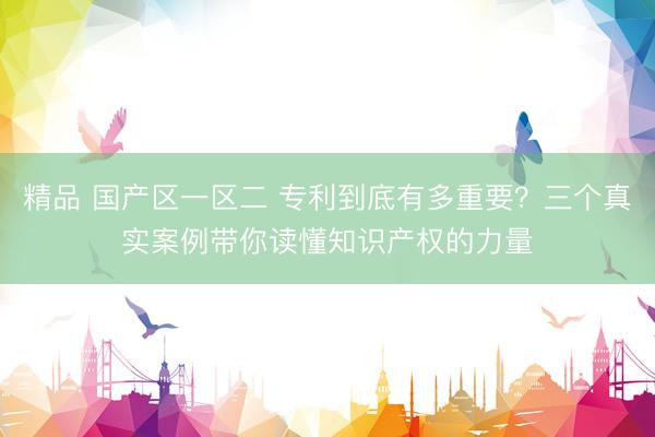 精品 国产区一区二 专利到底有多重要？三个真实案例带你读懂知识产权的力量