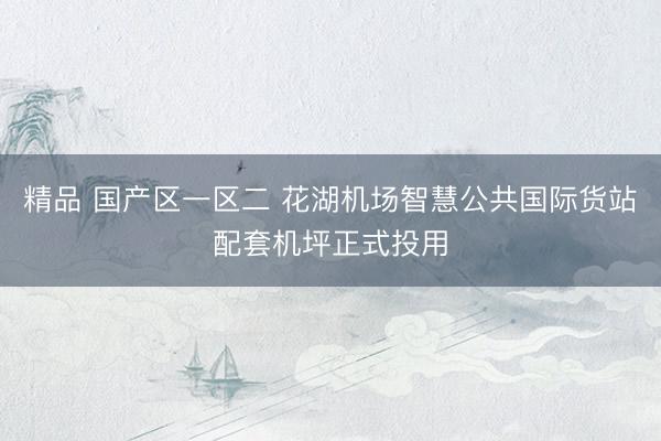精品 国产区一区二 花湖机场智慧公共国际货站配套机坪正式投用