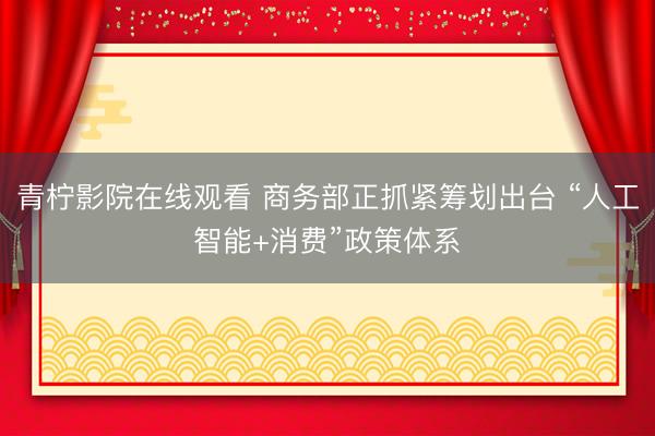 青柠影院在线观看 商务部正抓紧筹划出台 “人工智能+消费”政策体系