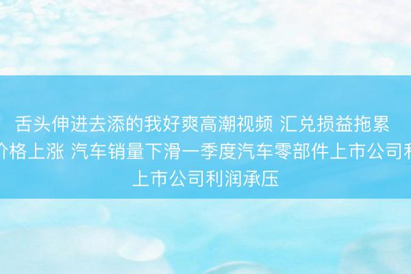 舌头伸进去添的我好爽高潮视频 汇兑损益拖累 原材料价格上涨 汽车销量下滑一季度汽车零部件上市公司利润承压