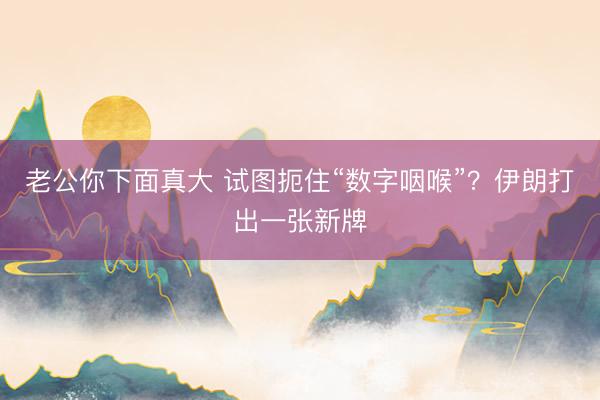 老公你下面真大 试图扼住“数字咽喉”？伊朗打出一张新牌