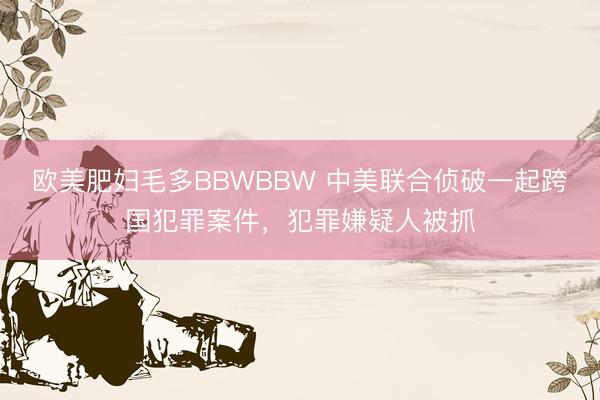 欧美肥妇毛多BBWBBW 中美联合侦破一起跨国犯罪案件，犯罪嫌疑人被抓