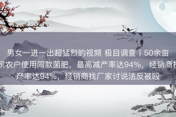 男女一进一出超猛烈的视频 极目调查丨50余亩大蒜歉收疑云：22家农户使用同款菌肥，最高减产率达94%，经销商找厂家讨说法反被殴