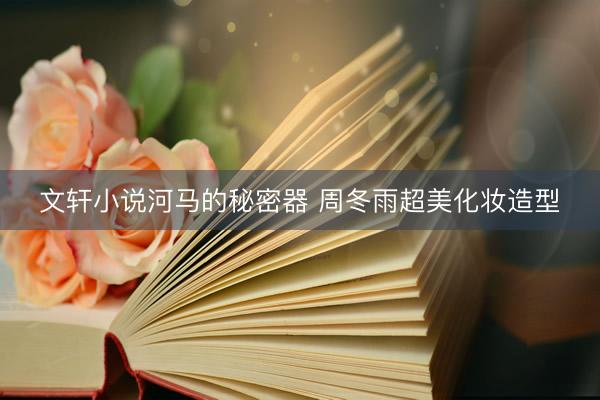 文轩小说河马的秘密器 周冬雨超美化妆造型