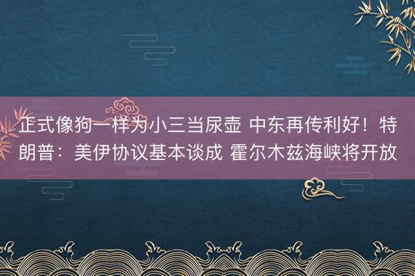 正式像狗一样为小三当尿壶 中东再传利好！特朗普：美伊协议基本谈成 霍尔木兹海峡将开放
