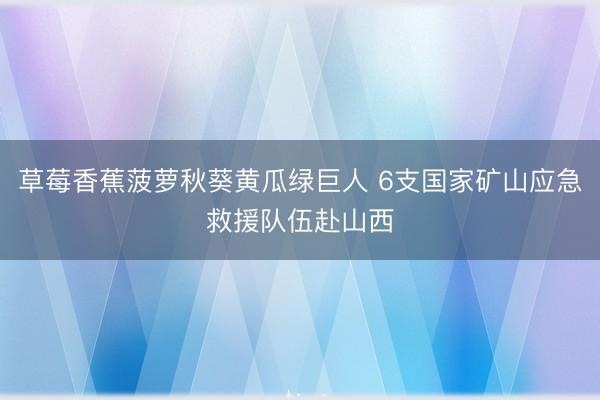 草莓香蕉菠萝秋葵黄瓜绿巨人 6支国家矿山应急救援队伍赴山西