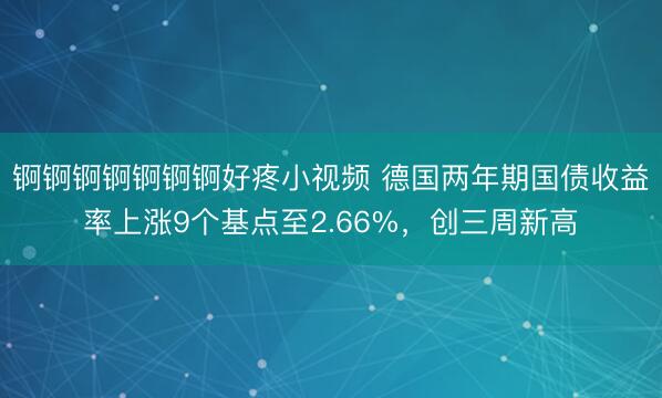 锕锕锕锕锕锕锕好疼小视频 德国两年期国债收益率上涨9个基点至2.66%，创三周新高