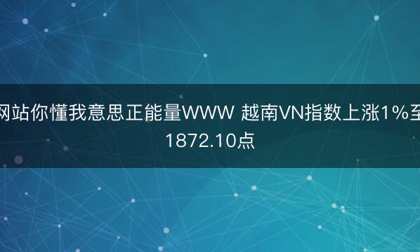 网站你懂我意思正能量WWW 越南VN指数上涨1%至1872.10点