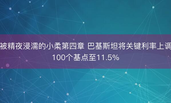被精夜浸濡的小柔第四章 巴基斯坦将关键利率上调100个基点至11.5%