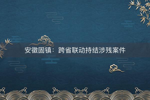 安徽固镇：跨省联动持结涉残案件