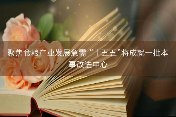 聚焦食粮产业发展急需 “十五五”将成就一批本事改进中心