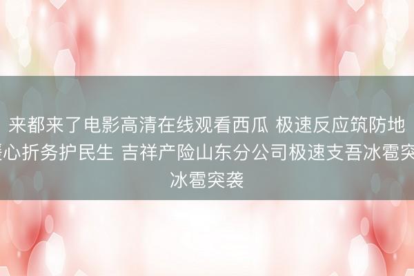 来都来了电影高清在线观看西瓜 极速反应筑防地 暖心折务护民生 吉祥产险山东分公司极速支吾冰雹突袭