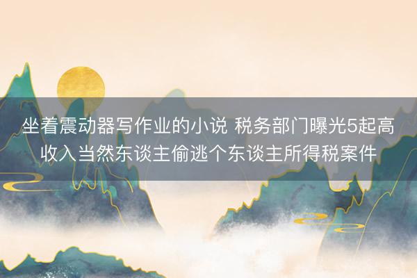坐着震动器写作业的小说 税务部门曝光5起高收入当然东谈主偷逃个东谈主所得税案件