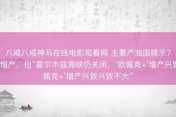 八戒八戒神马在线电影观看网 主要产油国晓示7月陆续保抓增产，但“霍尔木兹海峡仍关闭，‘欧佩克+’增产兴致兴致不大”