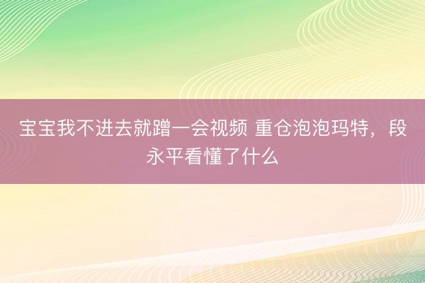 宝宝我不进去就蹭一会视频 重仓泡泡玛特，段永平看懂了什么
