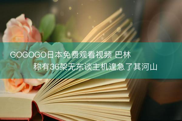 GOGOGO日本免费观看视频 巴林称有36架无东谈主机遑急了其河山