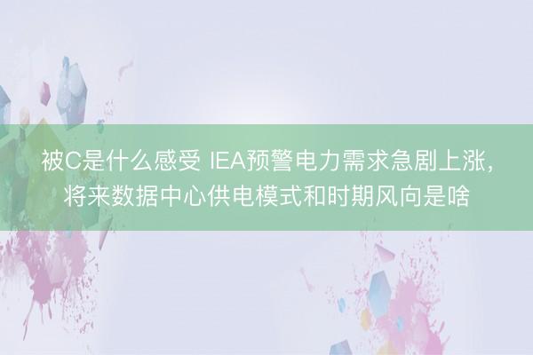 被C是什么感受 IEA预警电力需求急剧上涨,将来数据中心供电模式和时期风向是啥