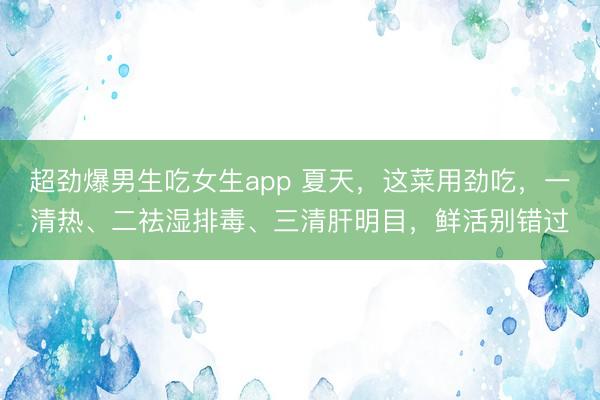 超劲爆男生吃女生app 夏天，这菜用劲吃，一清热、二祛湿排毒、三清肝明目，鲜活别错过
