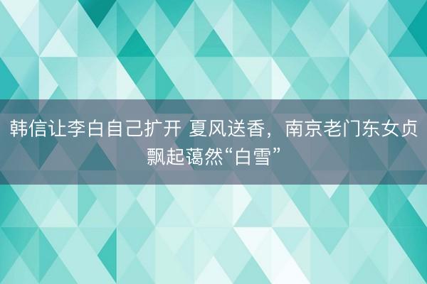 韩信让李白自己扩开 夏风送香，南京老门东女贞飘起蔼然“白雪”