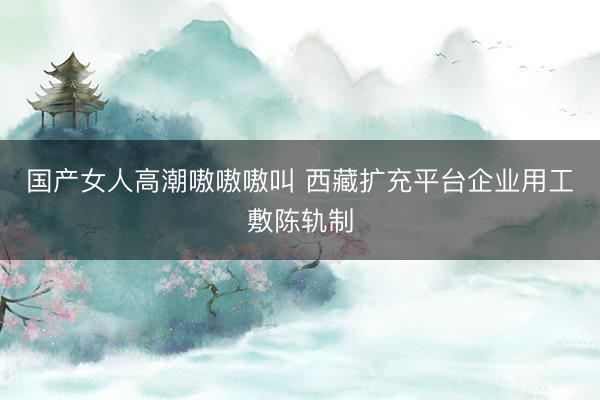 国产女人高潮嗷嗷嗷叫 西藏扩充平台企业用工敷陈轨制