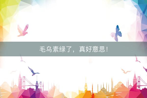 毛乌素绿了，真好意思！