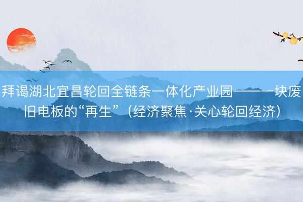 拜谒湖北宜昌轮回全链条一体化产业园——一块废旧电板的“再生”（经济聚焦·关心轮回经济）