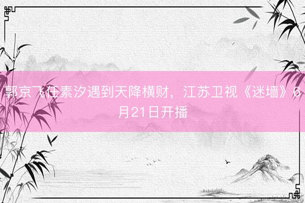 郭京飞任素汐遇到天降横财，江苏卫视《迷墙》6月21日开播