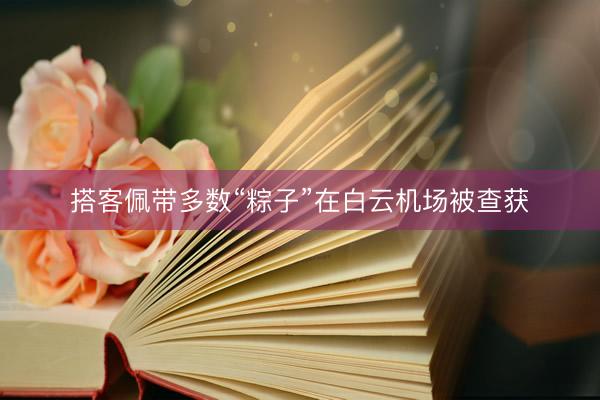 搭客佩带多数“粽子”在白云机场被查获
