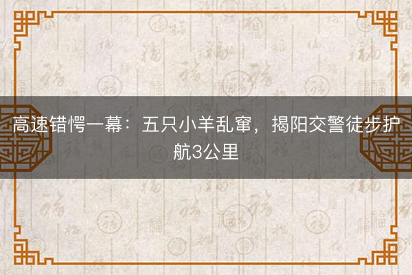 高速错愕一幕：五只小羊乱窜，揭阳交警徒步护航3公里